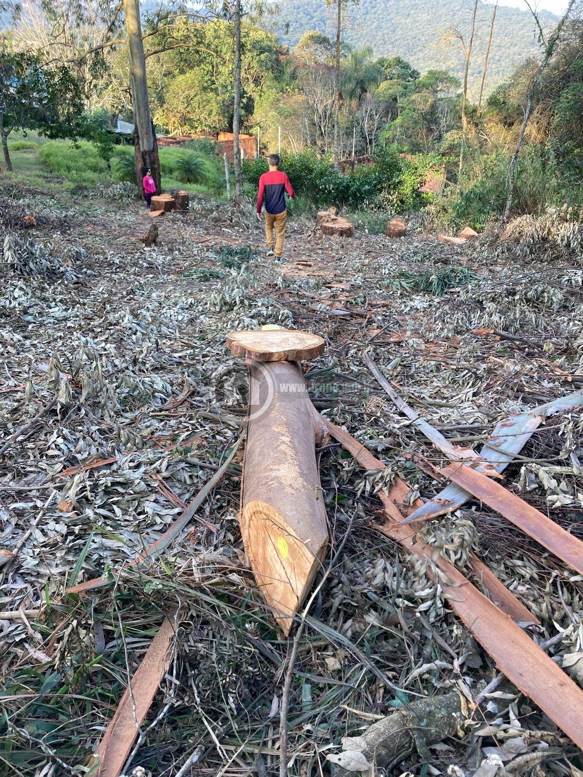 Terreno à venda com 1575m² de terreno no Serra da Cantareira, Mairiporã (SP) — foto 7 de 20
