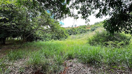 Terreno à venda em Santa Cruz - Periquito por R$ 850 mil