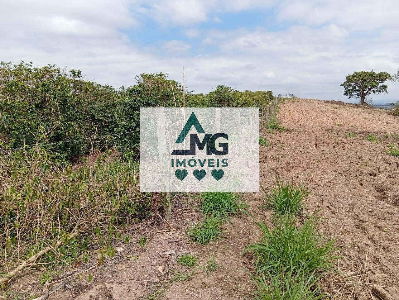 Rural à venda com 40000m² de terreno no Aréa Rural, São Thomé das Letras (MG) — foto 12 de 27