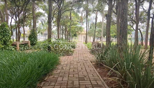 Bosque