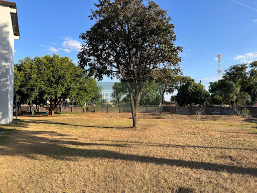 Apartamento em Vila Ieda  -  Campo Grande