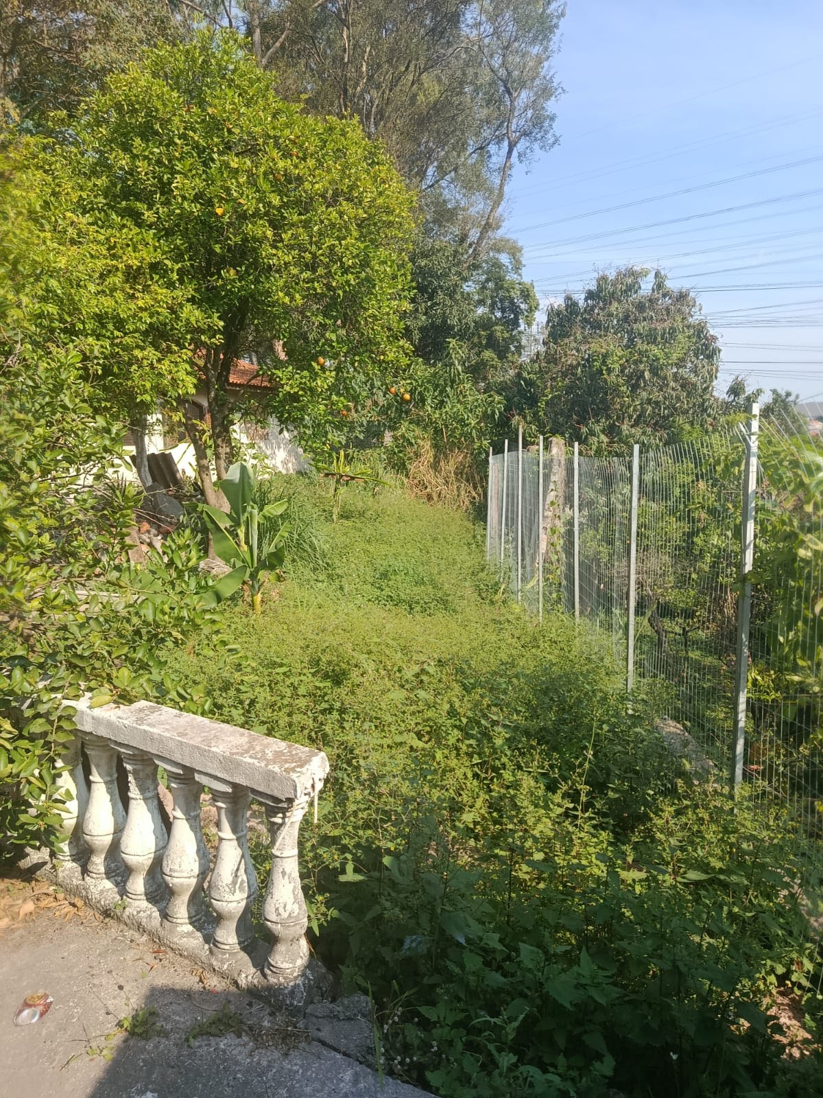 Apartamento à venda no Jardim Mangalot, São Paulo (SP) — foto 14 de 17