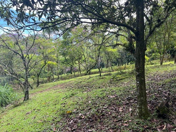 Rural à venda com 45000m² de terreno no Ratones, Florianópolis (SC) — foto 10 de 11