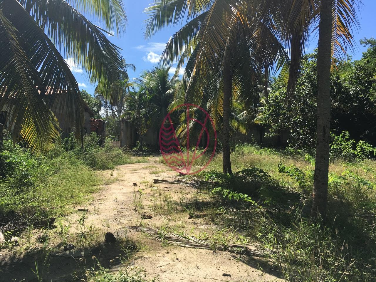 Comercial à venda com 4350m² no Boa União (abrantes), Camaçari (BA) — foto 15 de 26