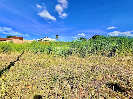 Lote / Terreno em Loteamento Jardins Florença  -  Catalão