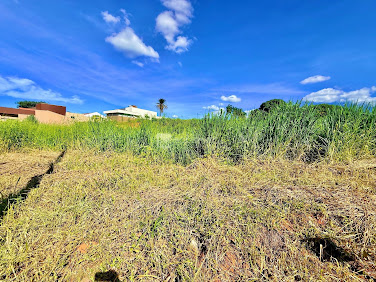 Lote / Terreno em Loteamento Jardins Florença  -  Catalão