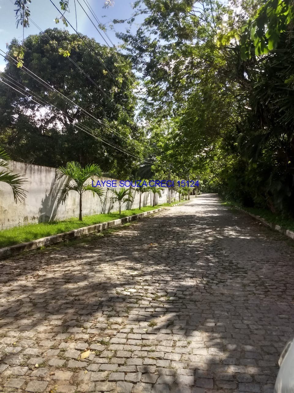 Foto 03