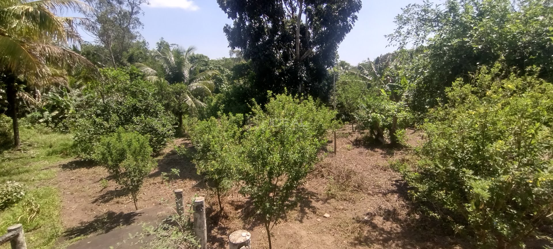 Rural à venda com 34810m² de terreno no Parque Aeroporto, Campos dos Goytacazes (RJ) — foto 9 de 20