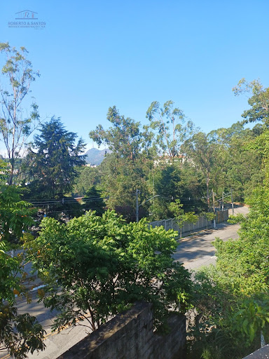 Vista