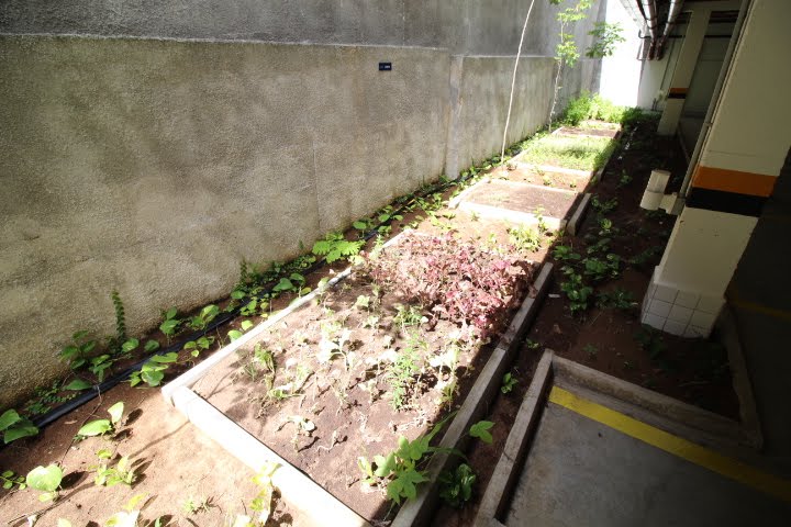 Apartamento à venda com 2 quartos, 1 suíte, 2 vagas e 51m² no Madalena, Recife (PE) — foto 26 de 30