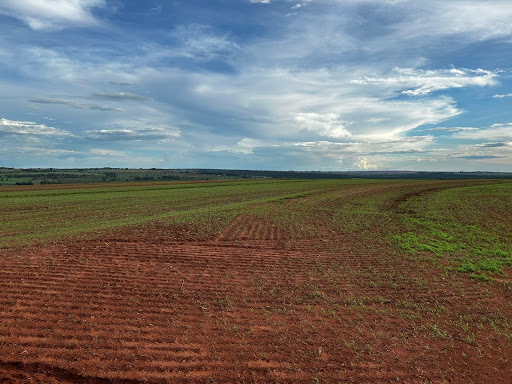 Fazenda em Zona Rural  -  Campo Grande