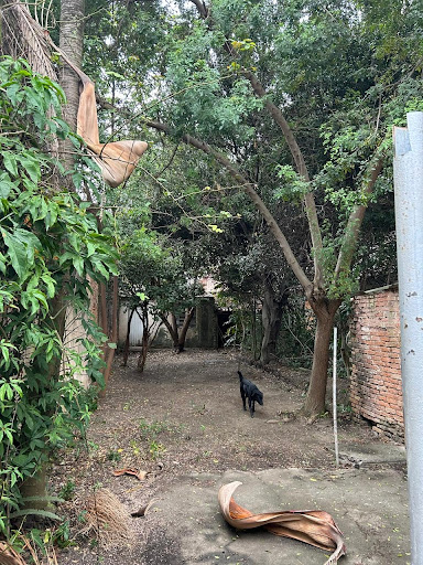 Terreno em Pompeia  -  São Paulo