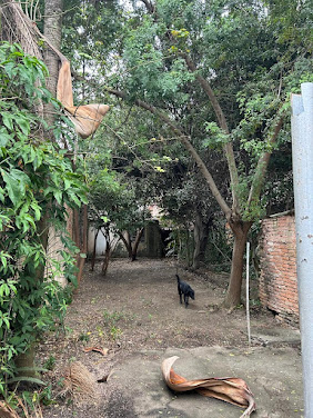 Terreno em Pompeia  -  São Paulo