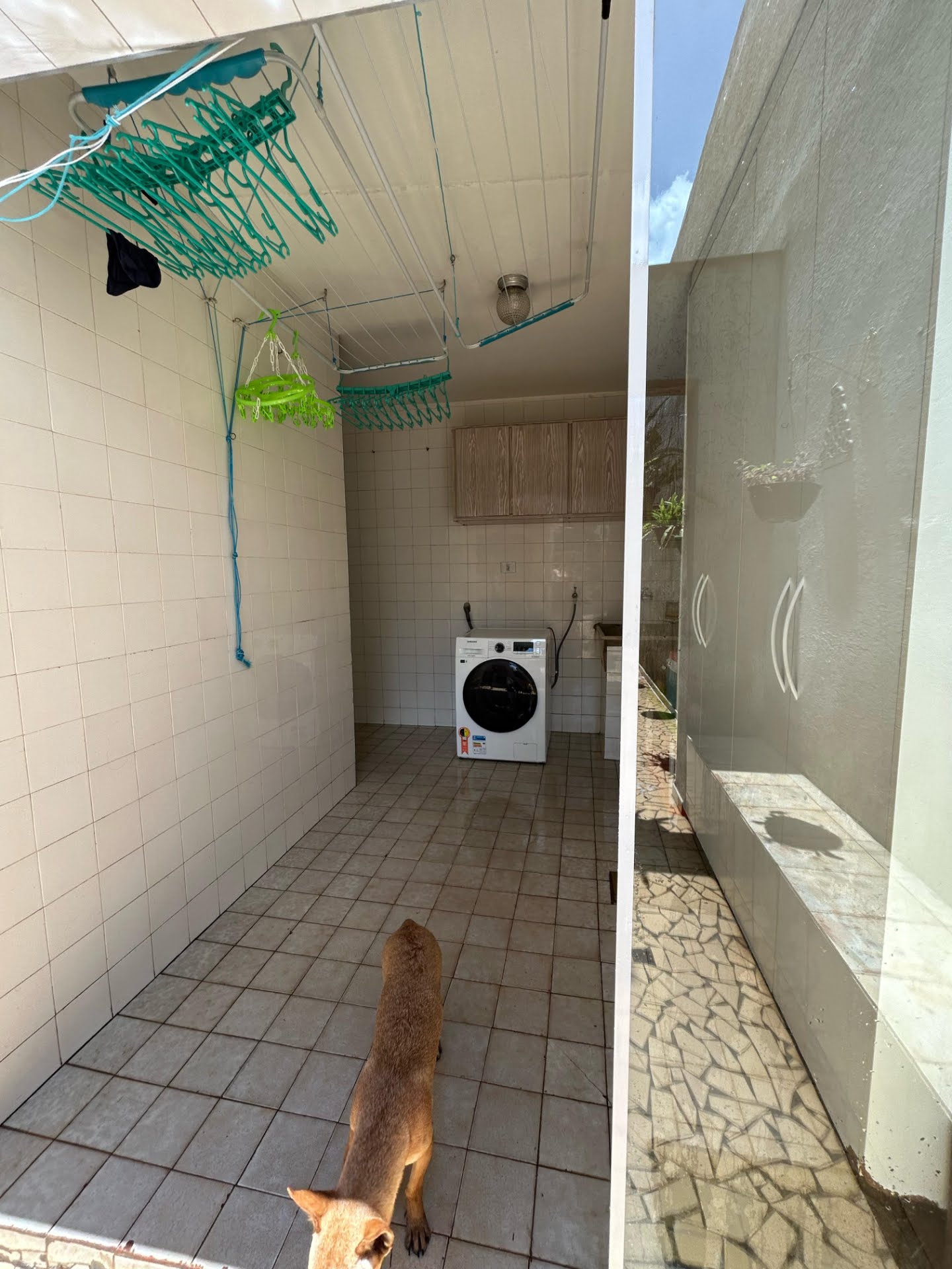 Casa à venda com 3 quartos, 1 suíte e 2 vagas no Chácara Inglesa, São Paulo (SP) — foto 20 de 21