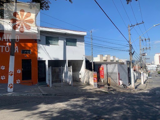 Salão e Residência em Vila Guilhermina - São Paulo, SP