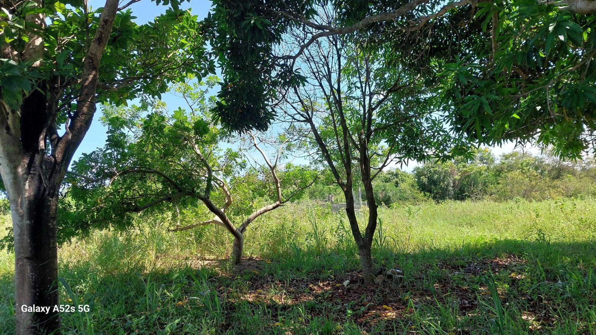 Terreno à venda no Parque Aeroporto, Campos dos Goytacazes (RJ) — foto 18 de 20