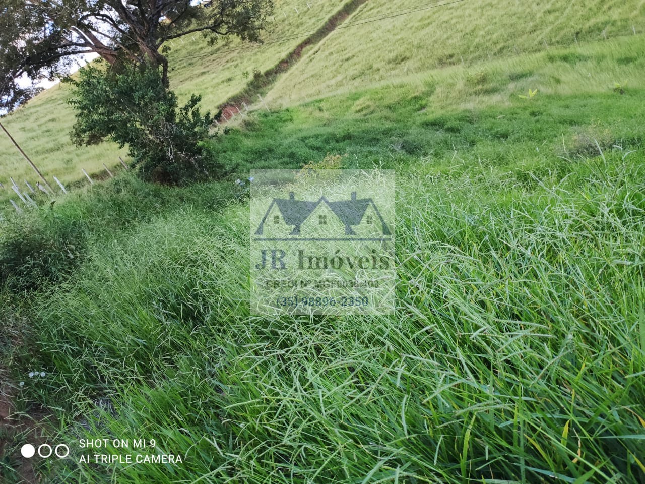 Terreno à venda com 3000m² de terreno no Mato Dentro de Baixo, Piranguinho (MG) — foto 7 de 18