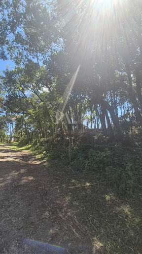 Lote / Terreno em Campo Alegre   -  Campo Alegre