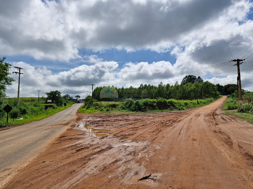 área para loteamento em Tambaú SP