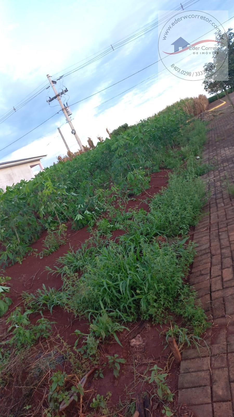 Terreno à venda com 300m² de terreno no Interior, Coronel Barros (RS) — foto 3 de 5