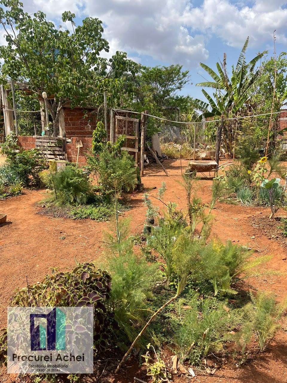 Rural à venda com 5000m² de terreno no Rajadunha I, Brasília (DF) — foto 13 de 21