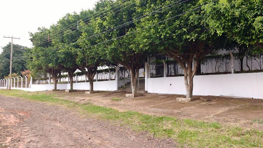 Galpão / Depósito / Armazém em NOVA LIMA   -  Campo Grande