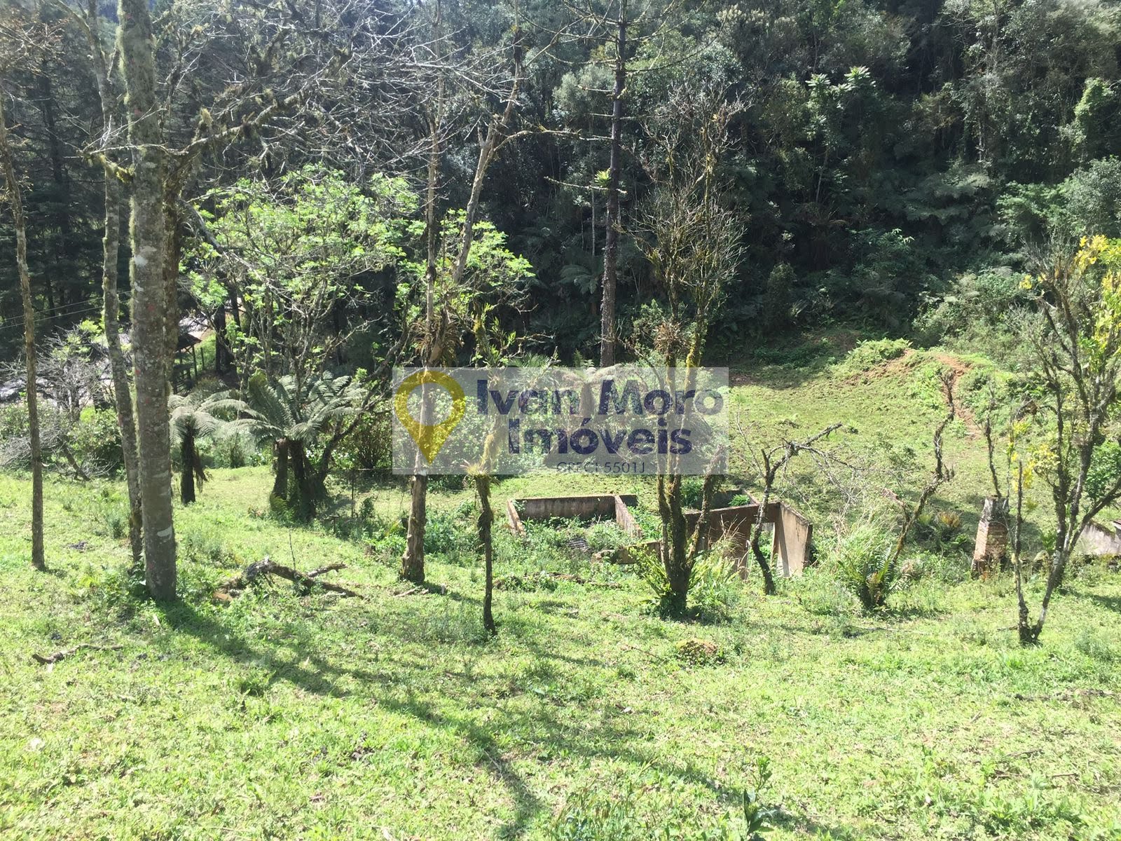 Rural à venda com 150000m² de terreno no Rio Braço do Norte, Anitápolis (SC) — foto 9 de 10