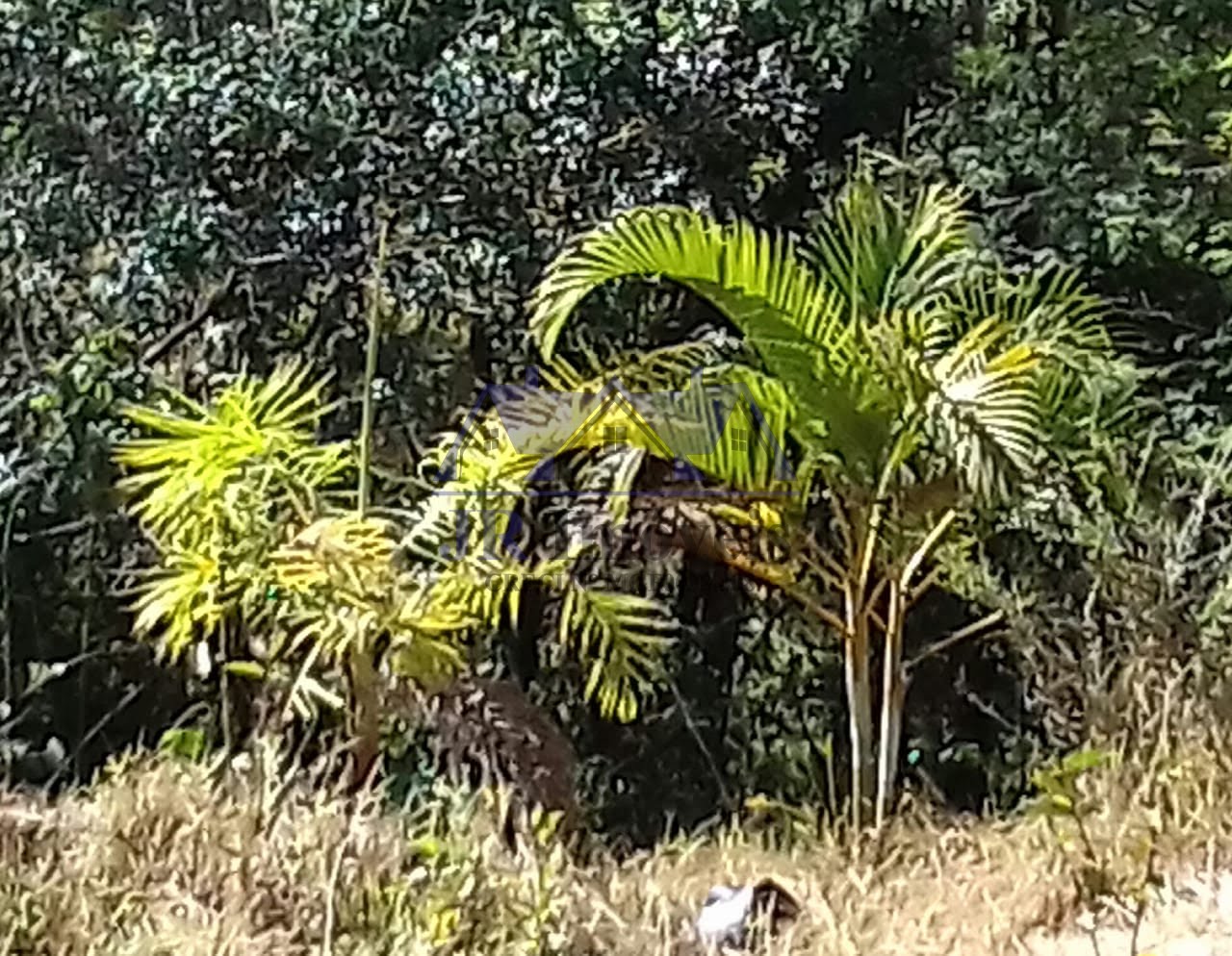 Terreno à venda com 3500m² de terreno no Pedra Preta, Itajubá (MG) — foto 4 de 7