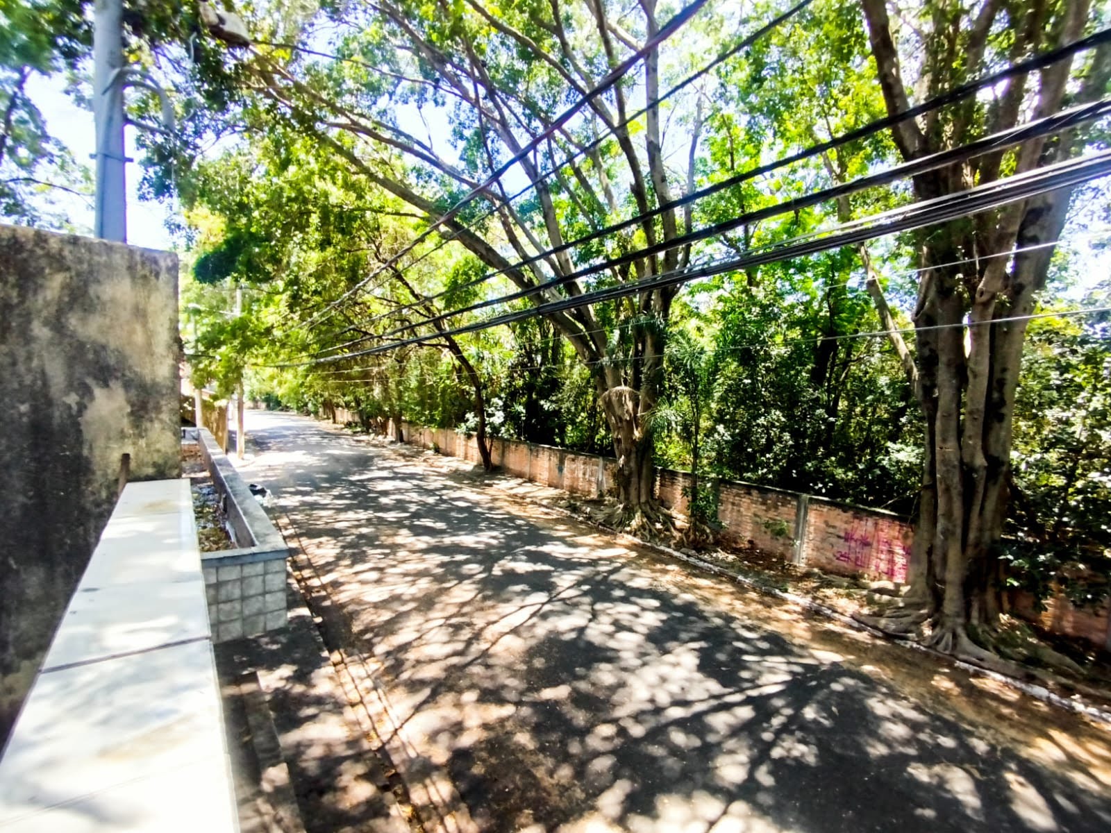 Apartamento à venda com 3 quartos, 2 banheiros, 2 vagas e 315m² no Jardim Regina, São Paulo (SP) — foto 29 de 30