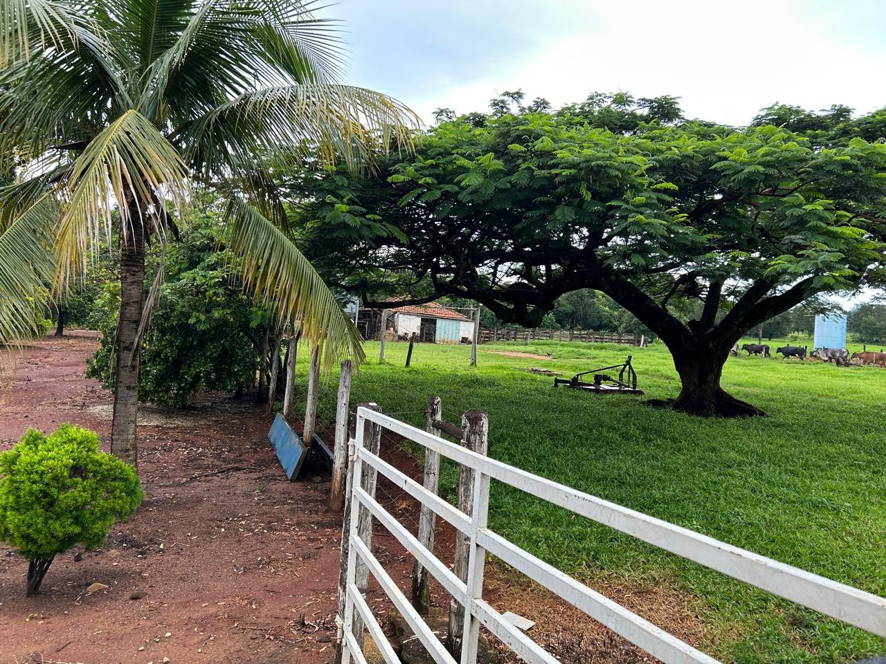 Rural à venda no I I, Paracatu (MG) — foto 5 de 12