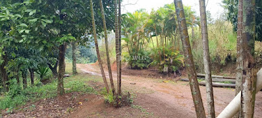 Sítio à Venda em Ibituporanga, Estrada do Caçador - Itaguaí RJ