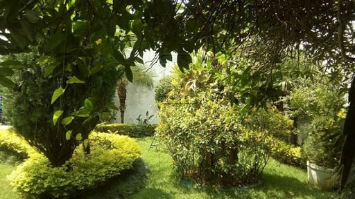 Jardim