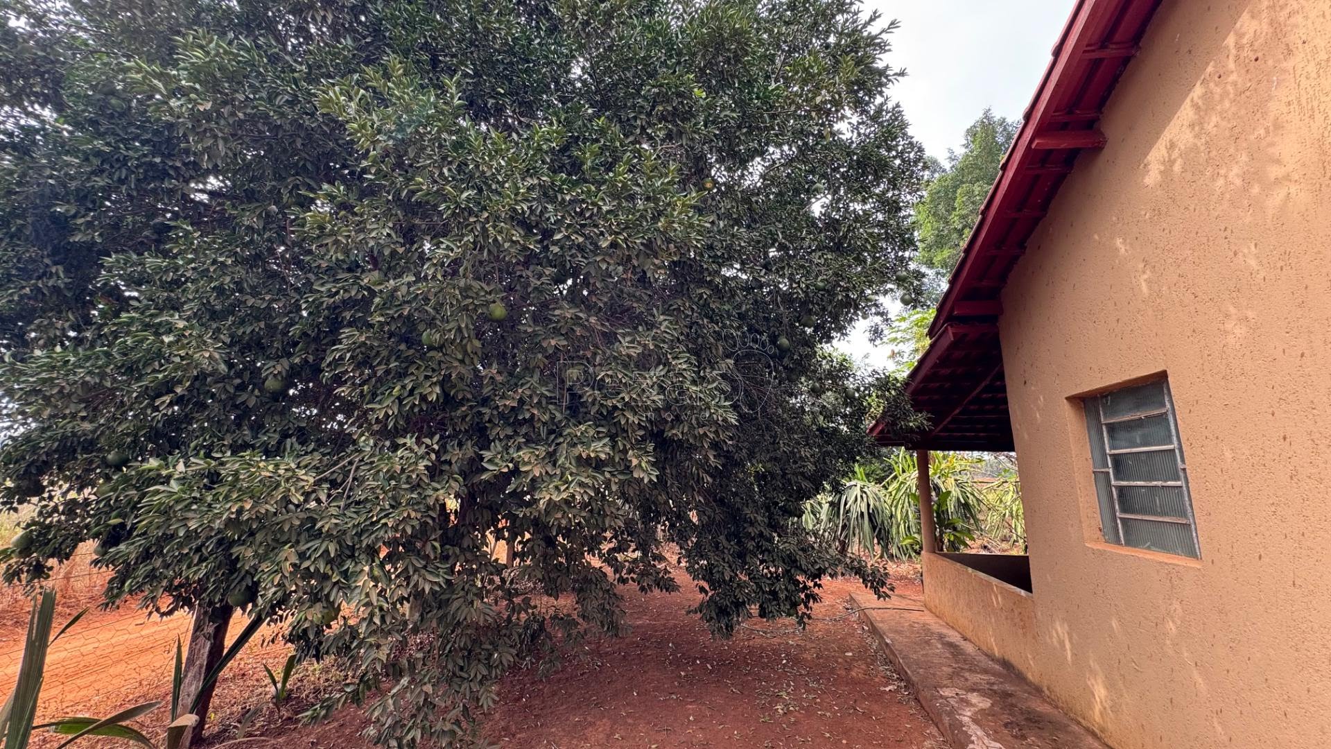 Rural à venda com 5445m² de terreno no Zona Rural de Heitoraí, Heitoraí (GO) — foto 26 de 30