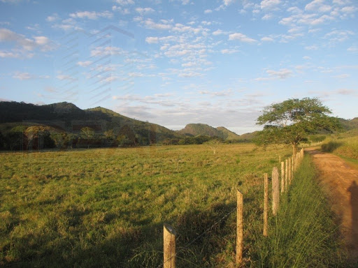 396 ha remanescente e Mata Atlântica