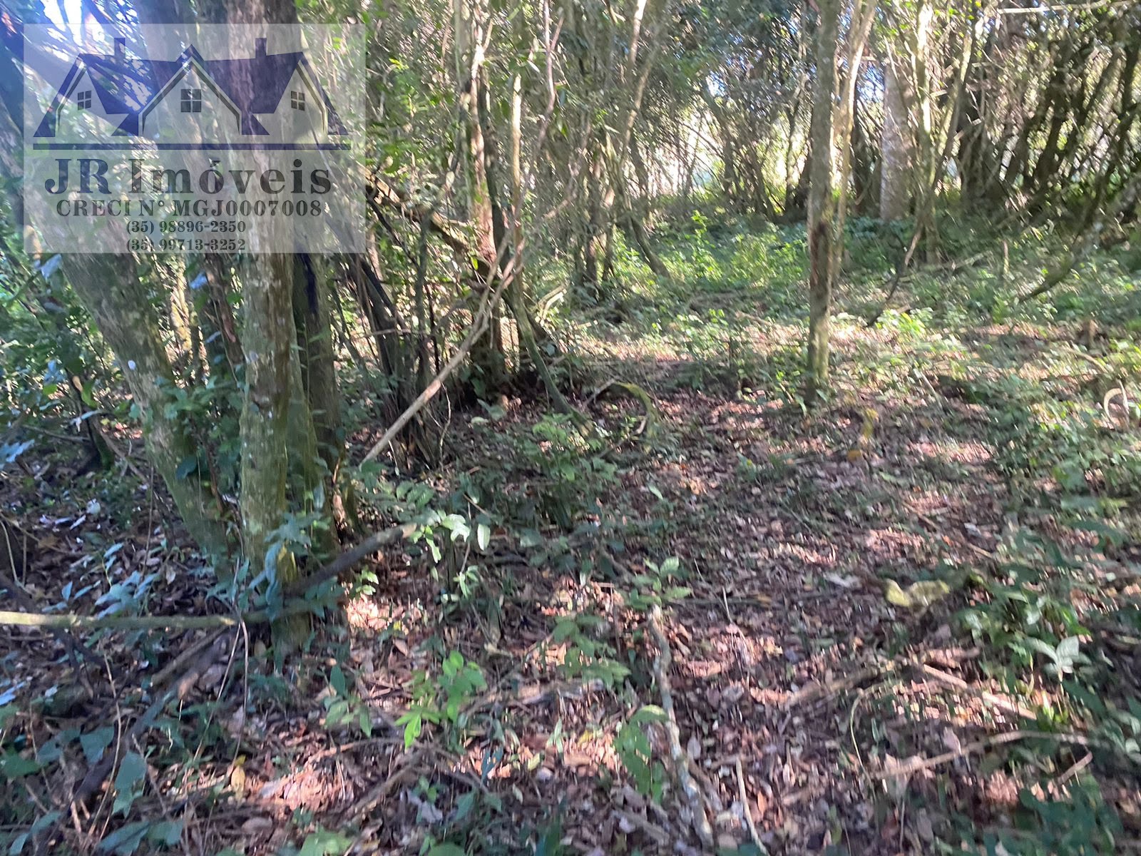 Terreno à venda com 21840m² de terreno no Grota, Itajubá (MG) — foto 12 de 23