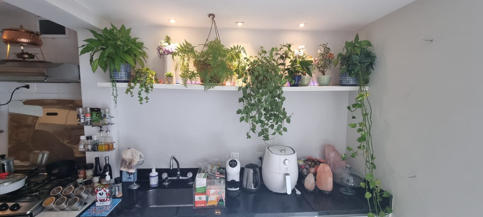 Foto 05