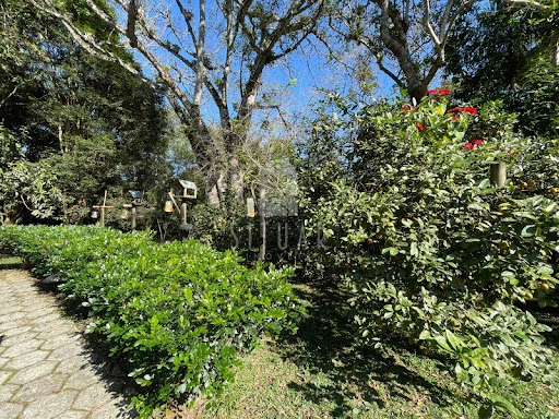 Foto 51