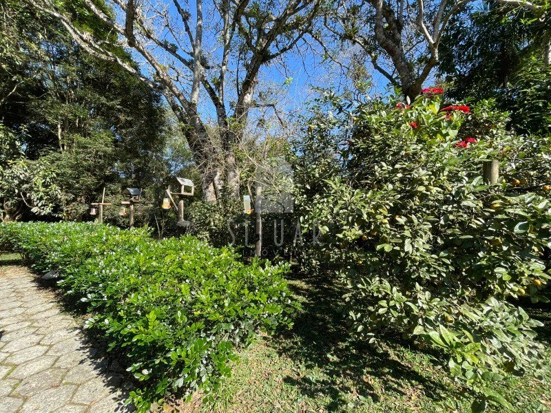 Foto 51