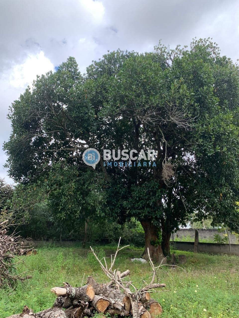 Rural à venda com 40000m² de terreno no Sim, Feira de Santana (BA) — foto 3 de 7