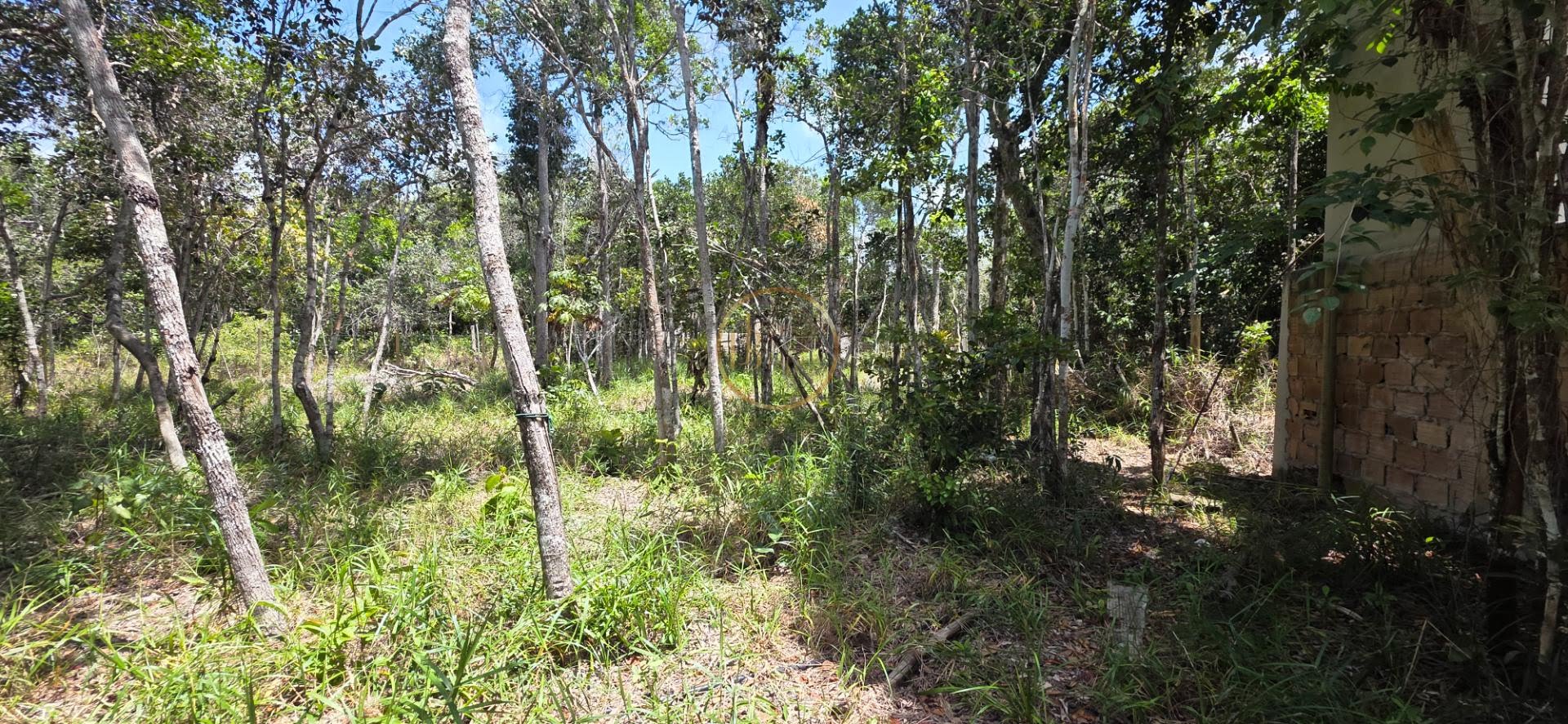 Terreno à venda com 400m² de terreno no Alto de Pitinga, Porto Seguro (BA) — foto 10 de 12