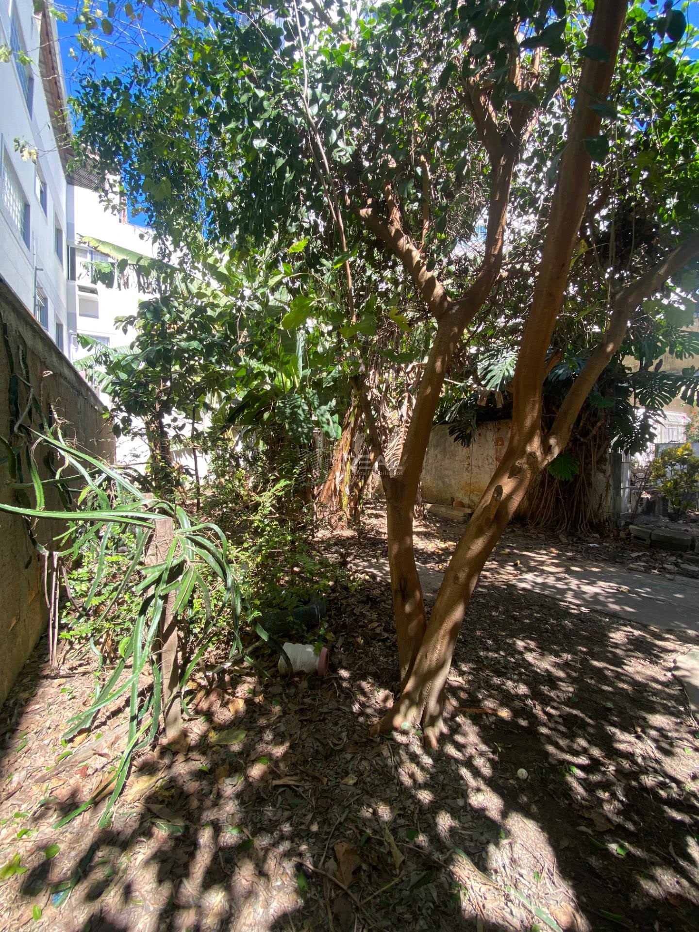 Comercial à venda com 1948m² no Parque Turf Club, Campos dos Goytacazes (RJ) — foto 23 de 24