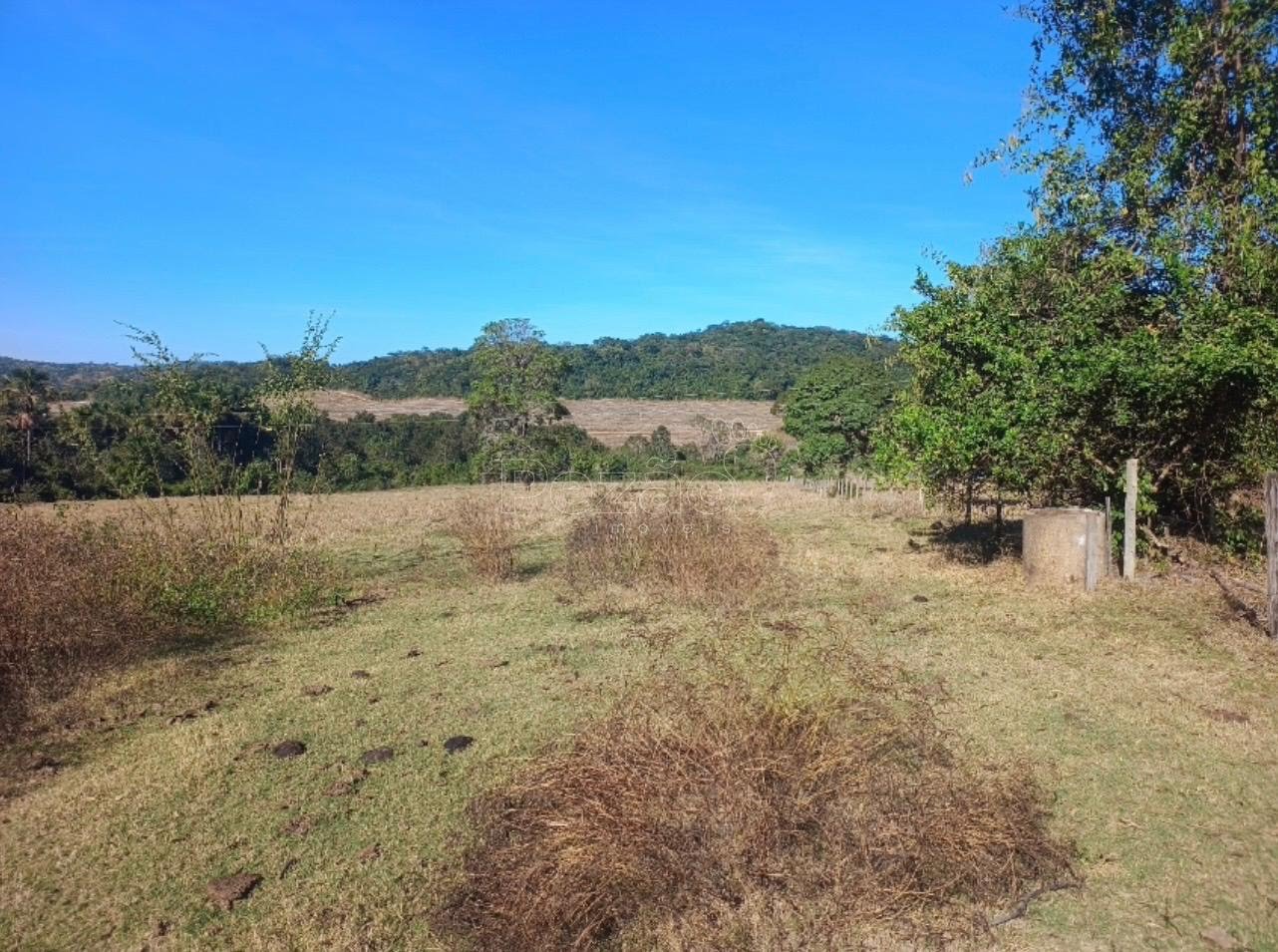 Rural à venda no Imóvel Rural, Itapuranga (GO) — foto 20 de 30