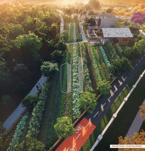 Terreno à venda com 382m² de terreno no Vila Brasília, Aparecida de Goiânia (GO) — foto 20 de 20