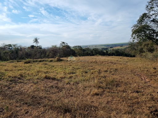 Sítio a venda em Casa Branca SP 