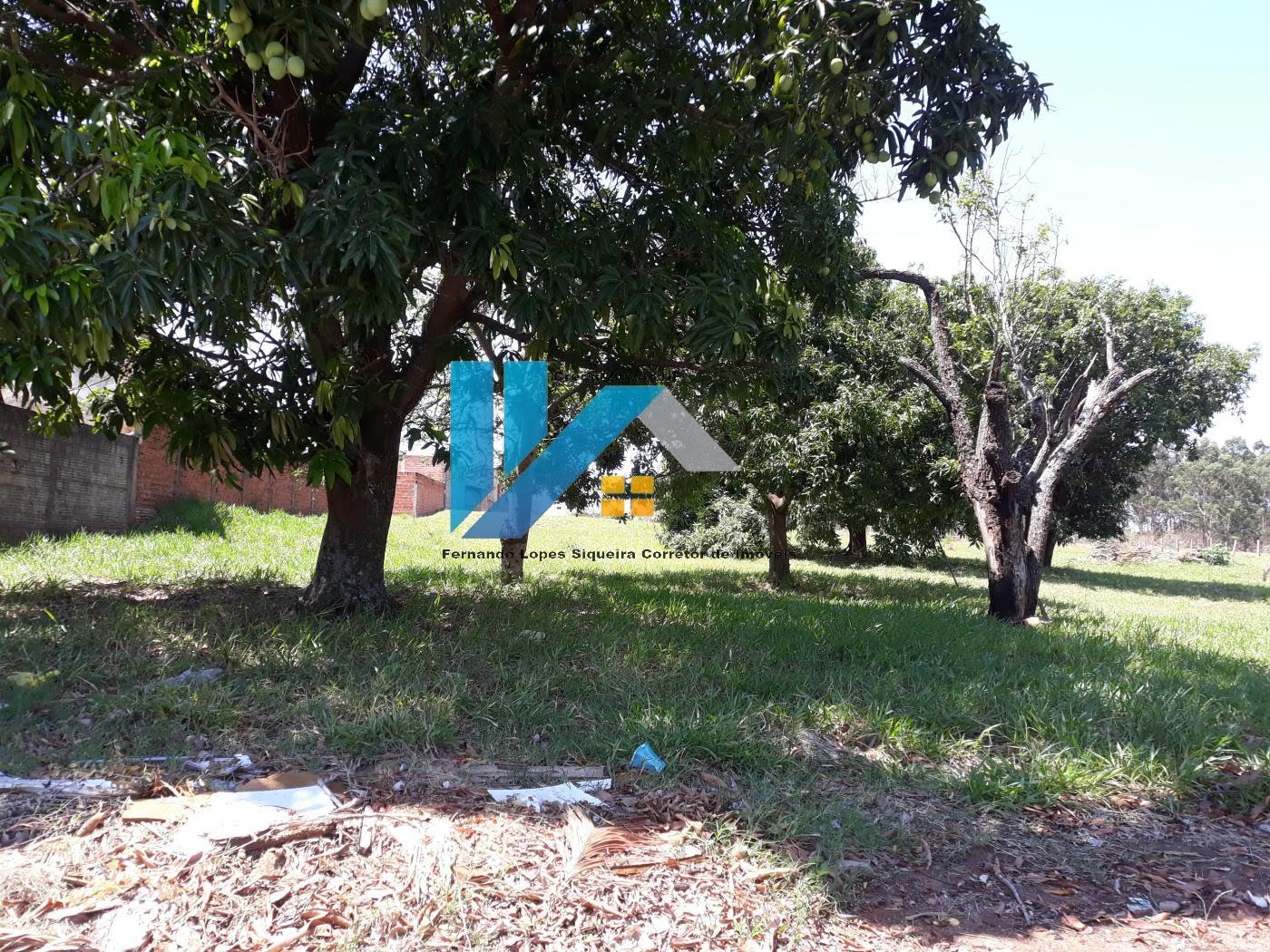 Terreno à venda no Vila Ortiz, Pirajuí (SP) — foto 7 de 12