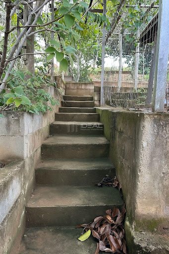 Chácara em  Lagoa de cima São Benedito   -  Campos dos Goytacazes