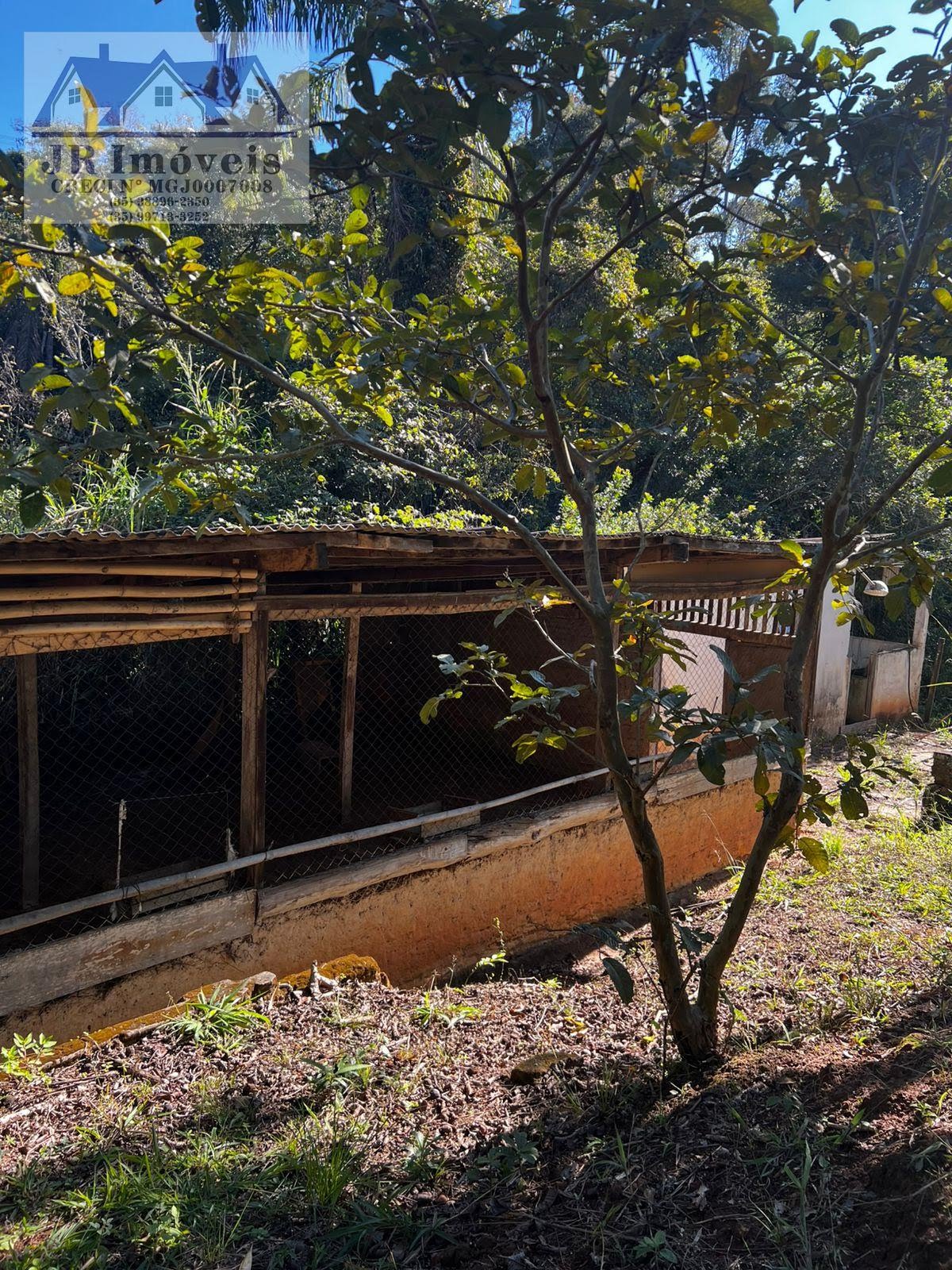 Rural à venda com 3046m² de terreno no Laje, Piranguinho (MG) — foto 6 de 30