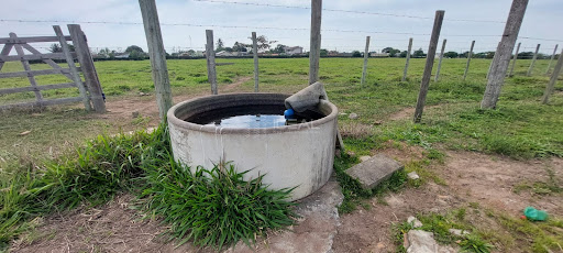 Propriedade Rural para venda em Campos dos Goytacazes com 42 Alqueires