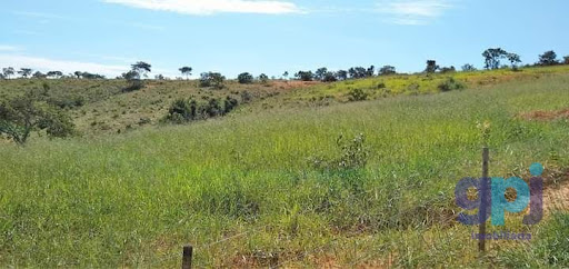 Fazenda em Área Rural  -  Martinho Campos
