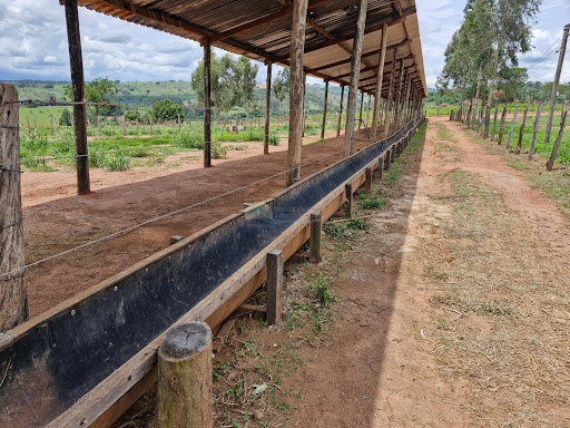 Fazenda a venda em Itobi SP